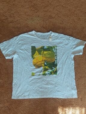 aerie White Tee with Yellow & Green Lemon Graphic